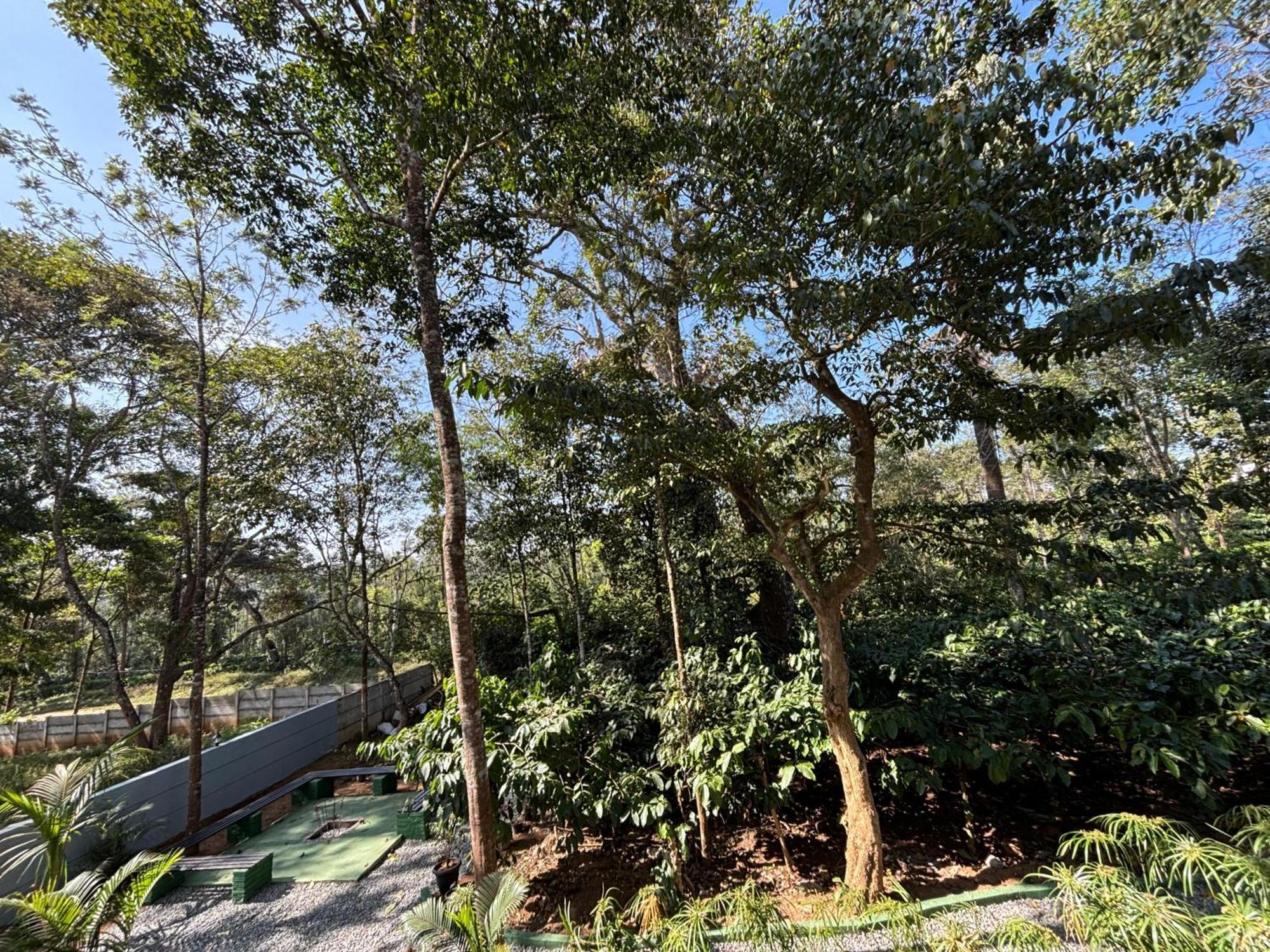Homestay Coorg Le Embera Virajpet