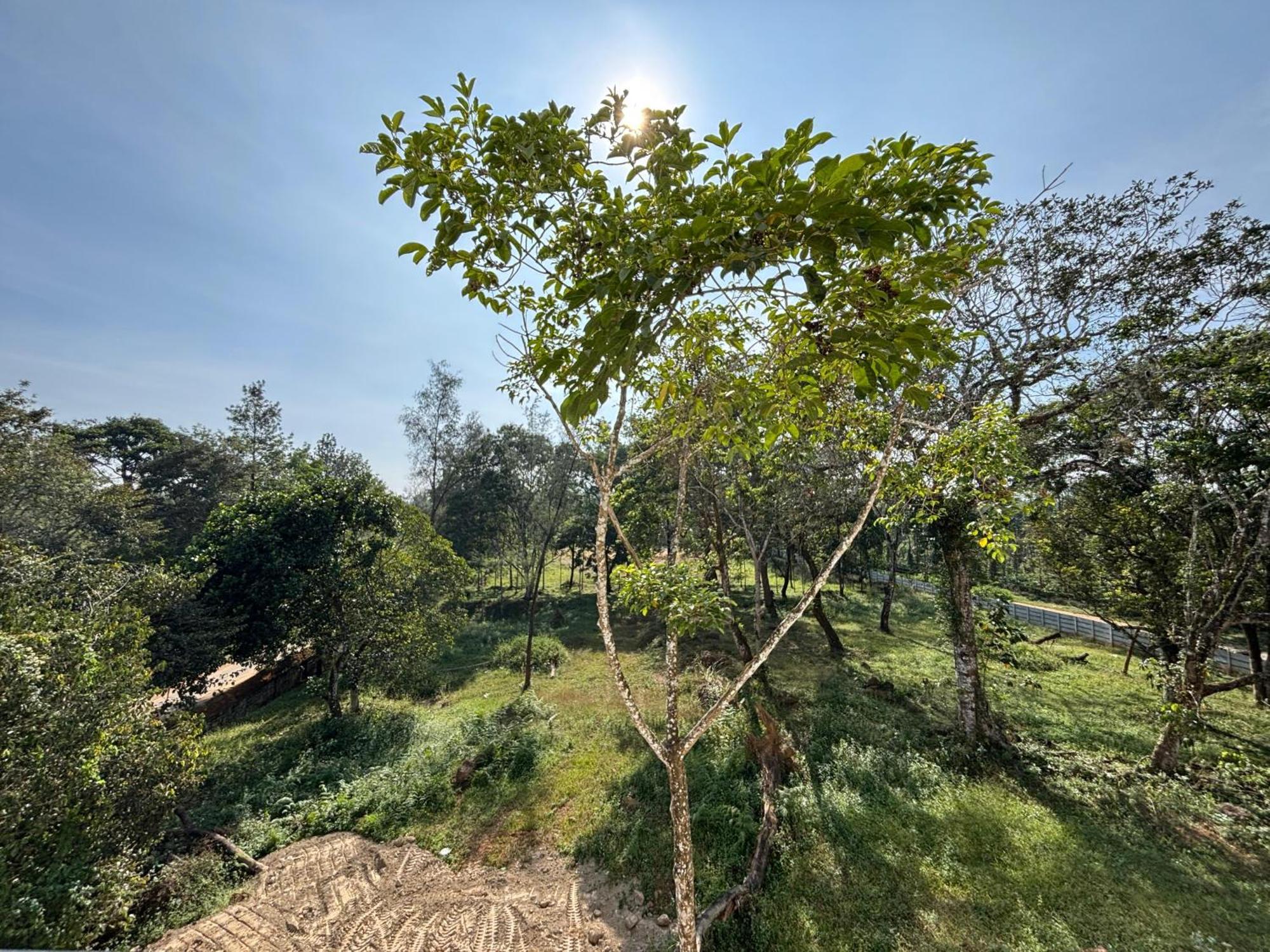 Homestay Coorg Le Embera